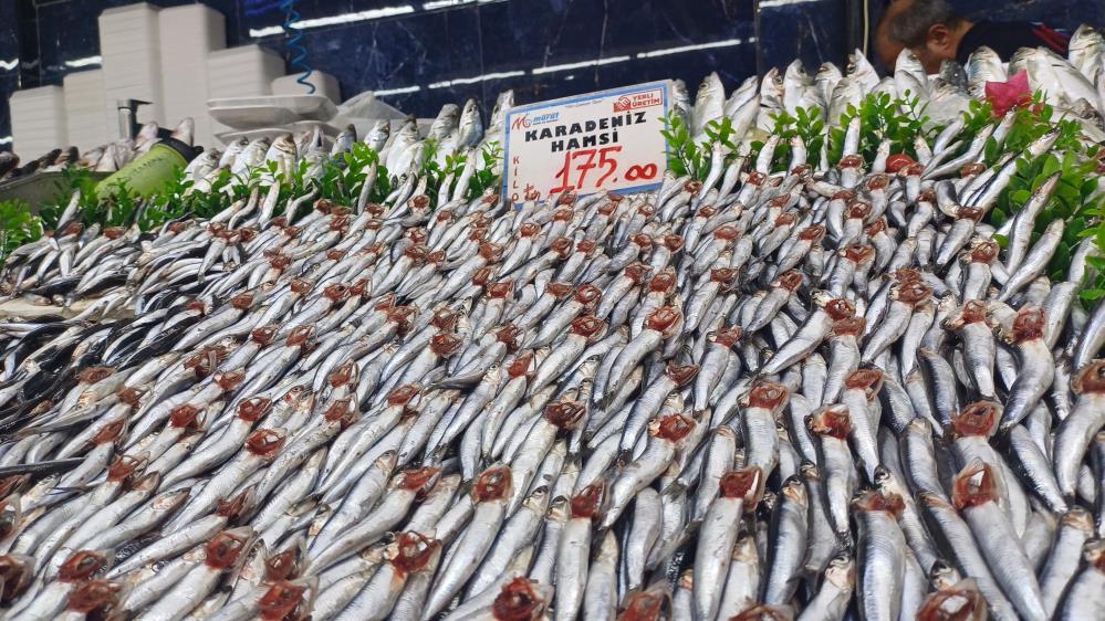 Tezgahlarda hamsi bolluğu
