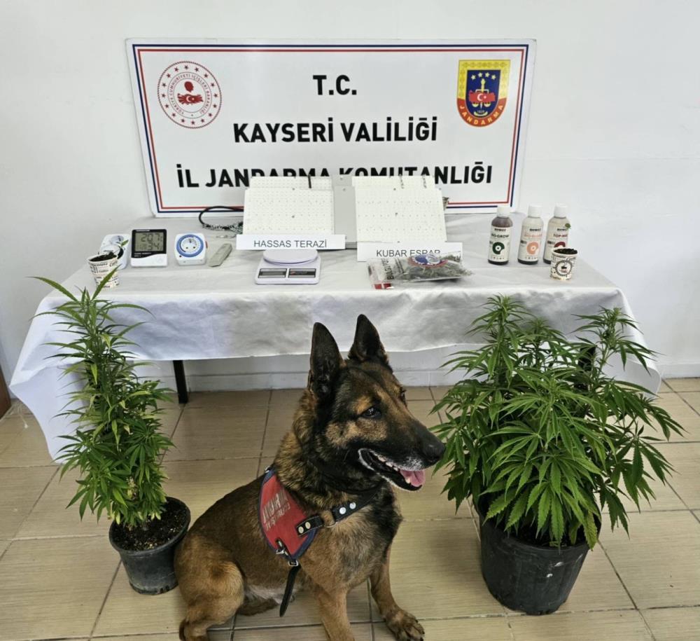 Kayseri’de uyuşturucu operasyonu