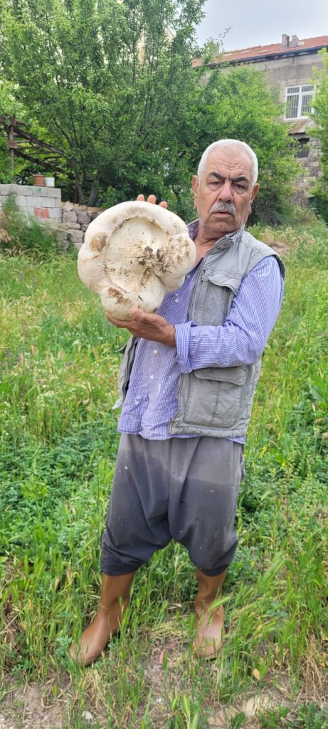 Kayseri’de 3 kilo 400 gram mantar buldu