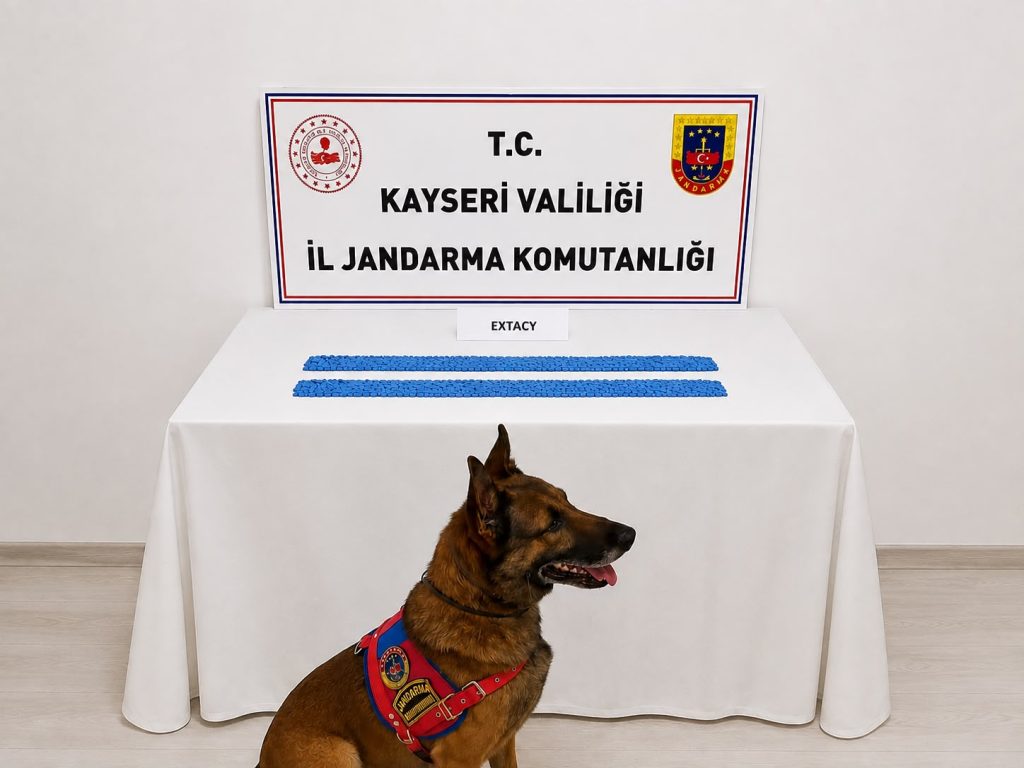 Kayseri’de 2 bin 700 adet uyuşturucu hap ele geçirildi