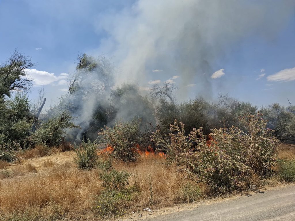 Bünyan’da çalılık alanda çıkan yangın yulaf tarlasına sıçradı; ekiplerin müdahalesi sürüyor