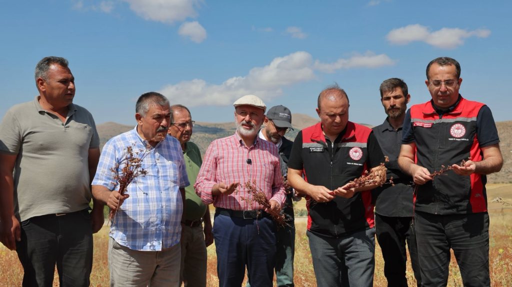 Başkan Çolakbayrakdar: Karabuğdayla hem arıcılığa hem Kayseri tarımına yeni bir soluk getiriyoruz